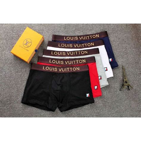 louis vuitton poater|Louis Vuitton briefs.